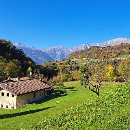 Quader Nidi Nel Verde Bienno Exteriér fotografie